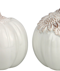 8006 SEL POIVRE « HAPPY HARVEST » 2P